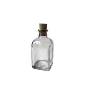 FRASCA100